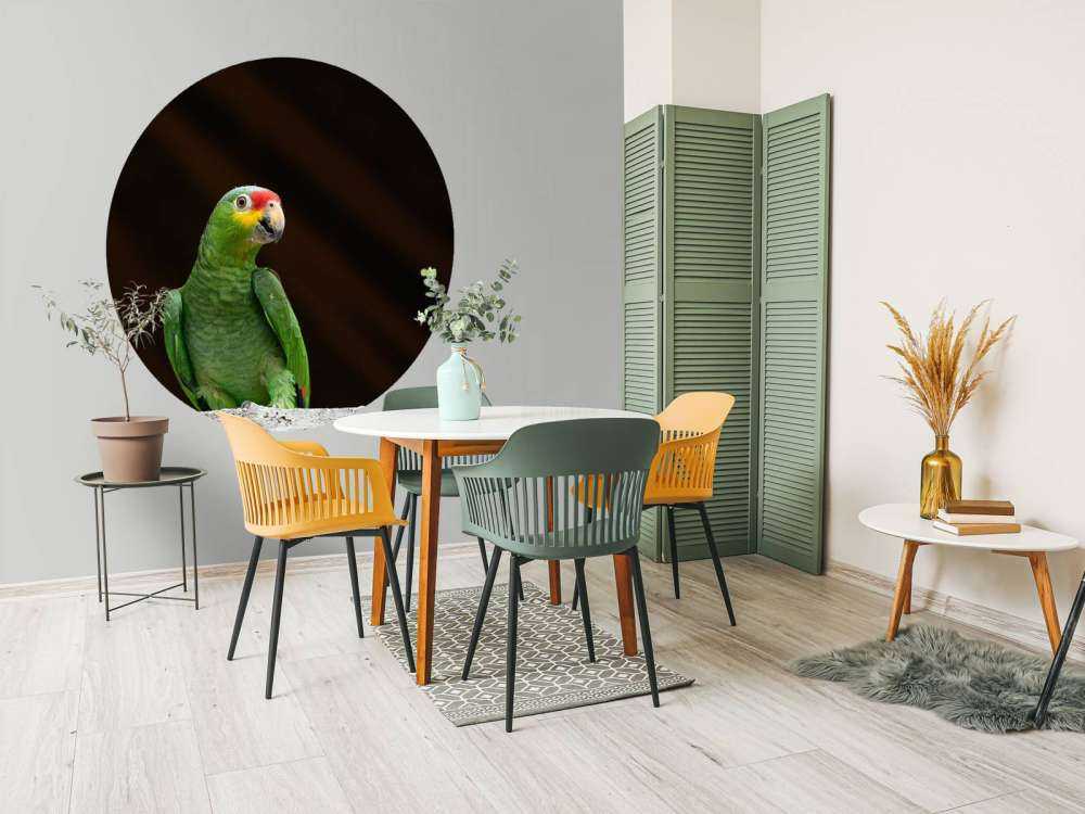 Nieuwsgierige papegaai