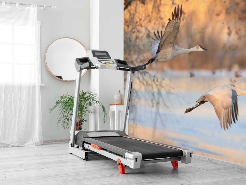 Vliegende kraanvogels