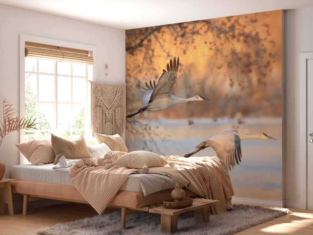 Vliegende kraanvogels