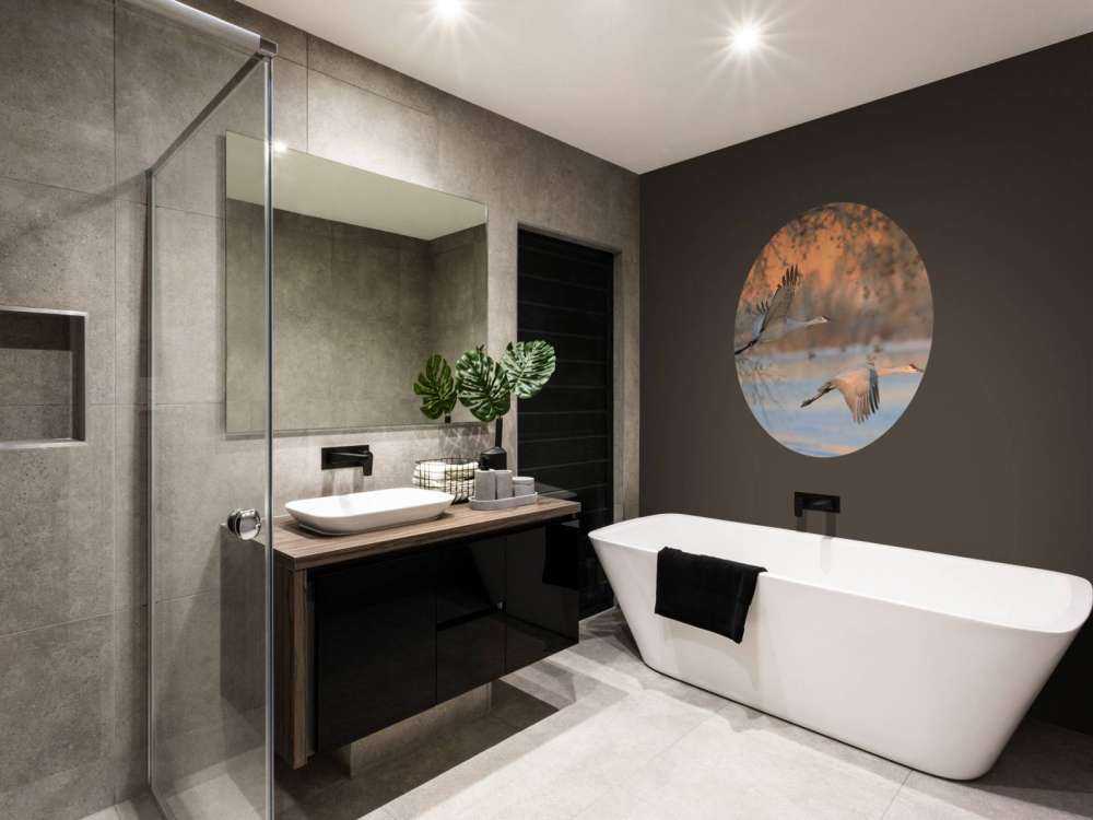 Vliegende kraanvogels