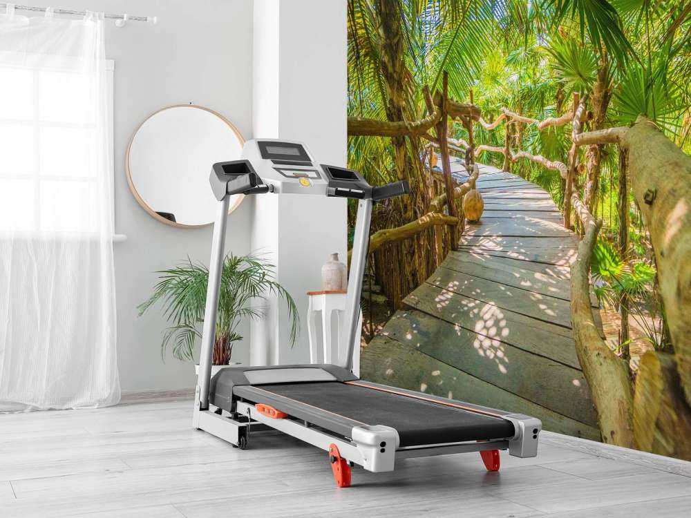 Tropische jungle brug