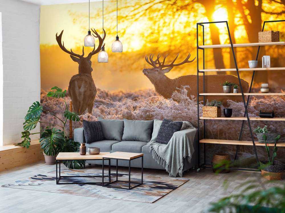 Herten bij zonsondergang