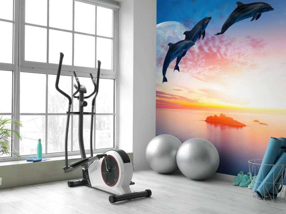 Dolfijnen in de nacht