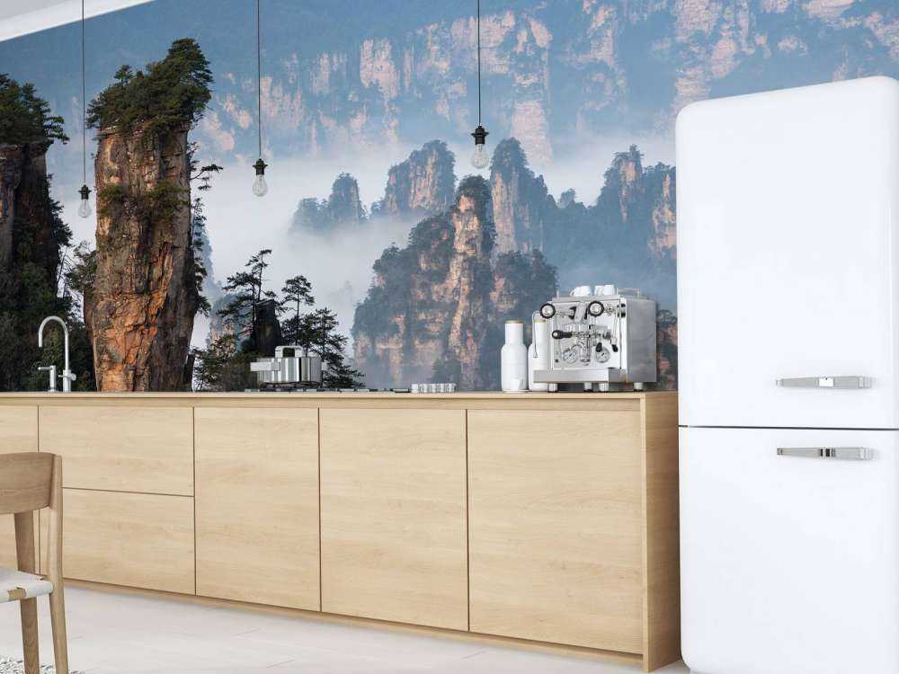 The general ordered the troops