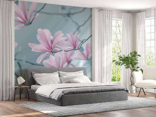 Magnolia bloemen