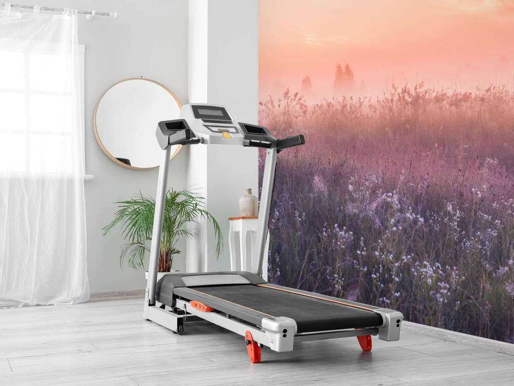 Veld met ochtendnevel