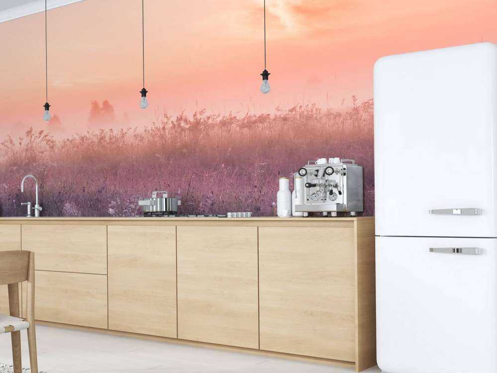 Veld met ochtendnevel