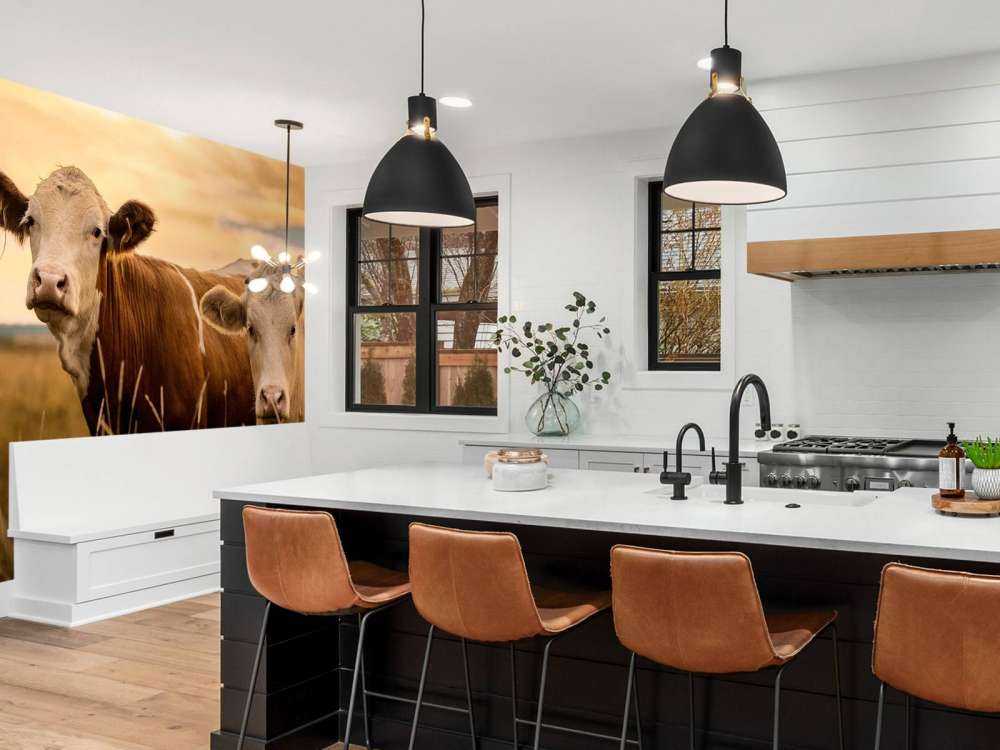 Koeien in de avondzon