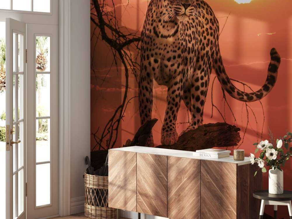 Luipaard met ondergaande zon