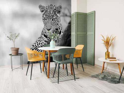 Luipaard zwart, wit
