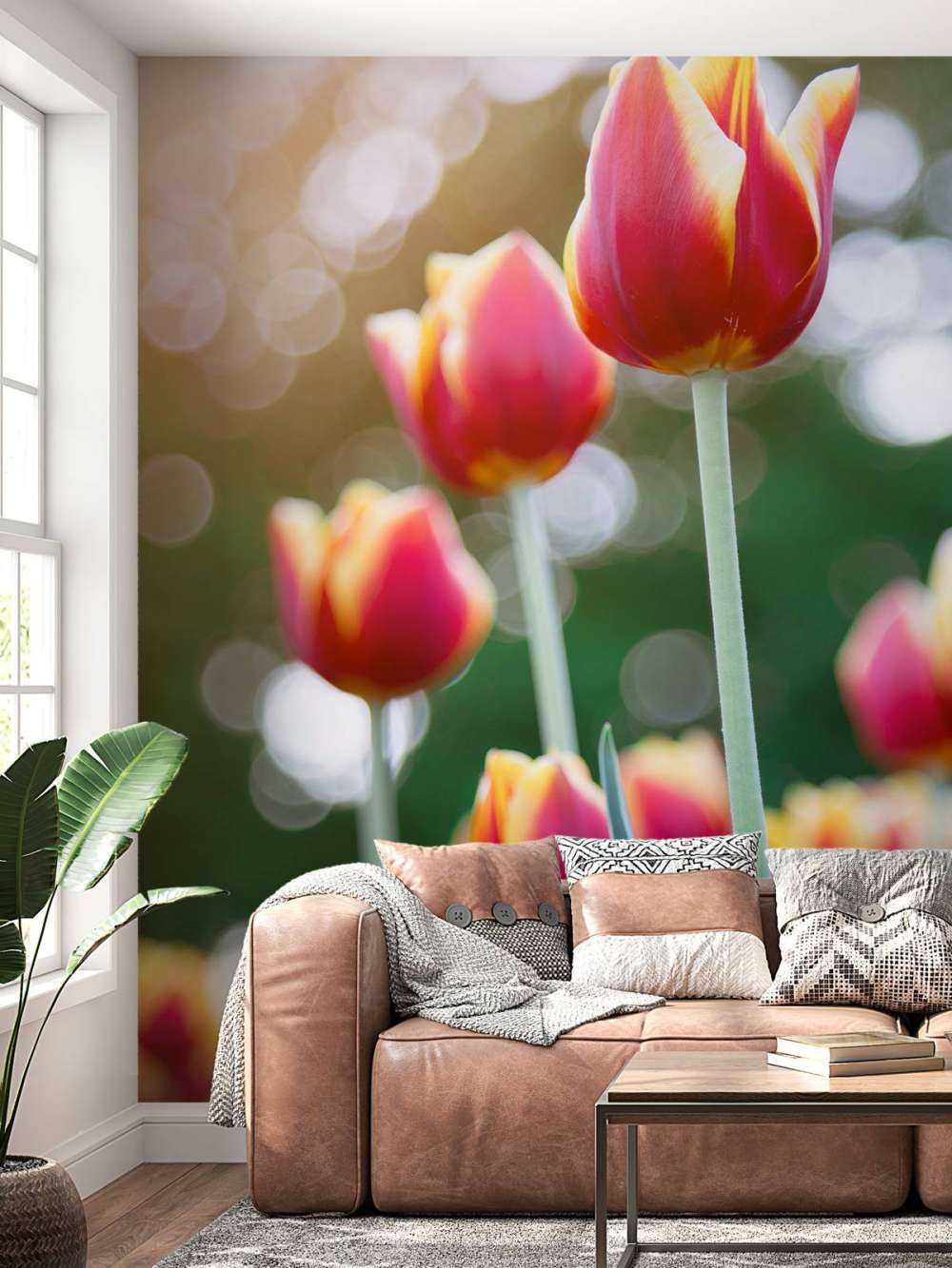 Rood met gele tulpen