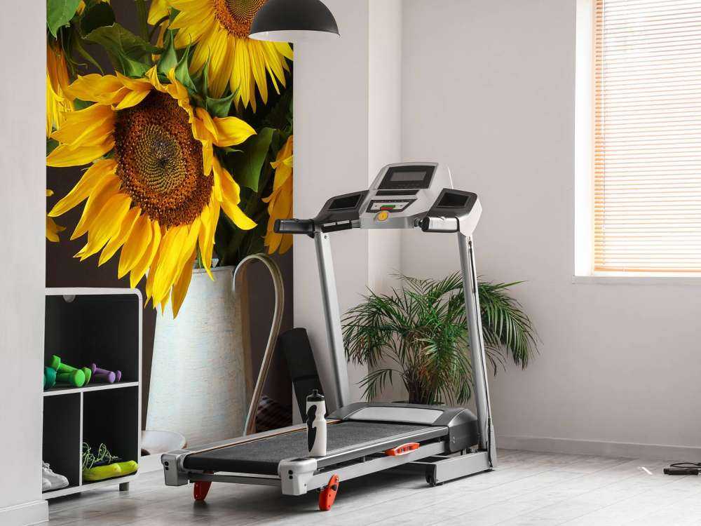 Zonnebloemen en bessen