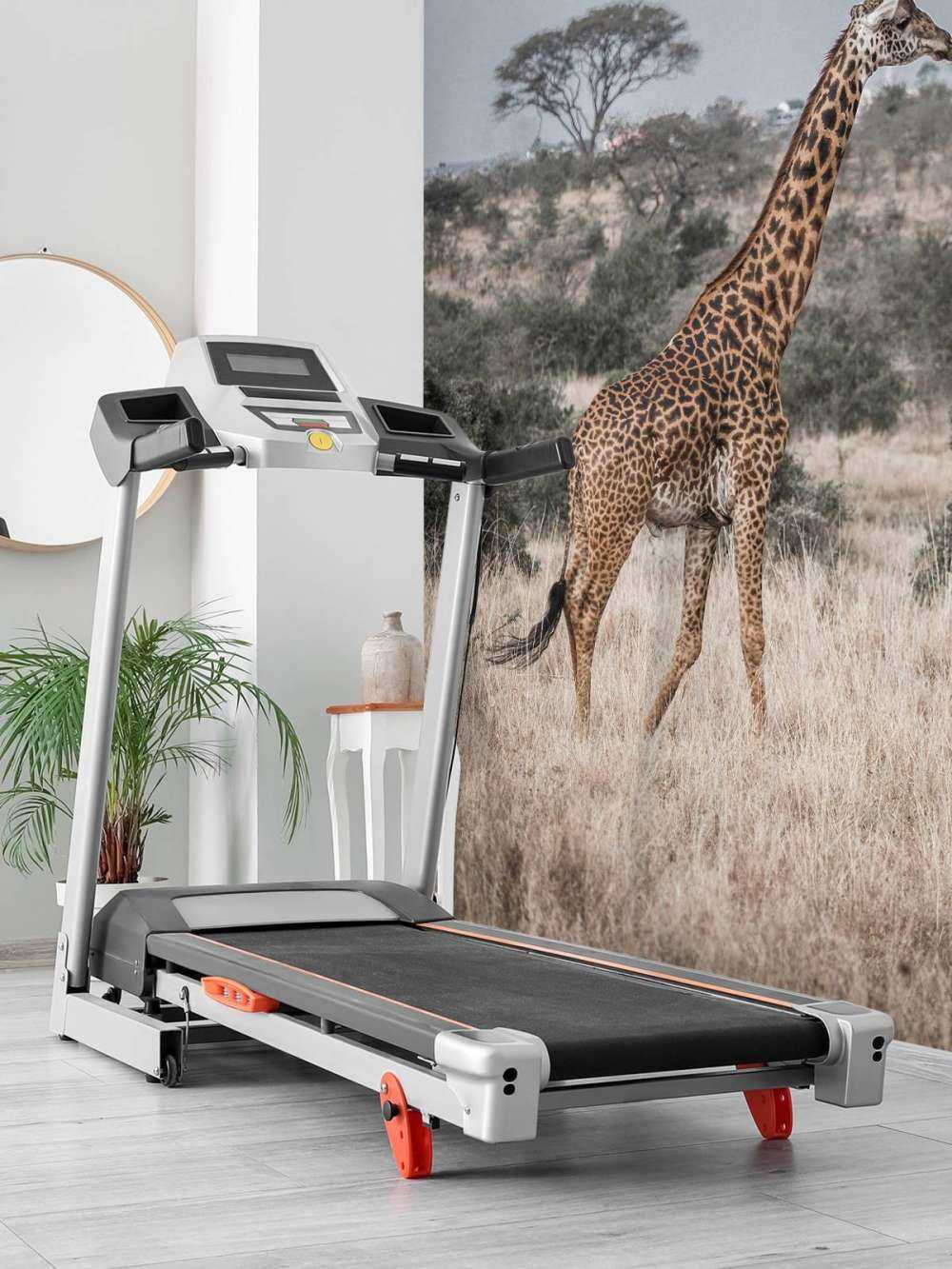 Giraffe portret