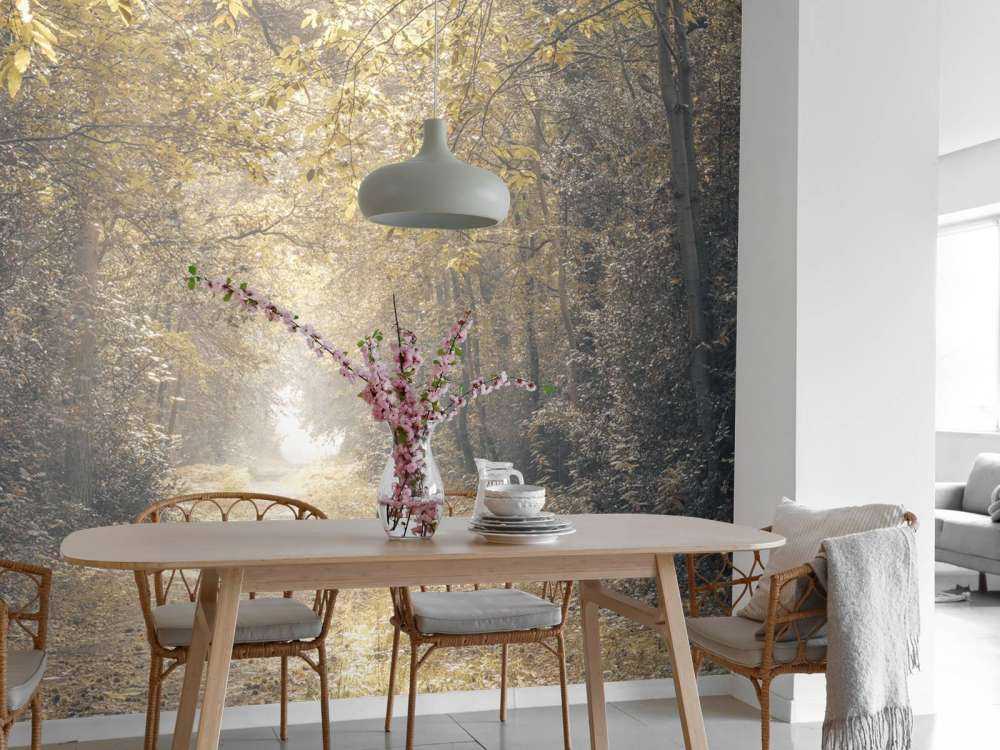 Pad door een verlaten bos