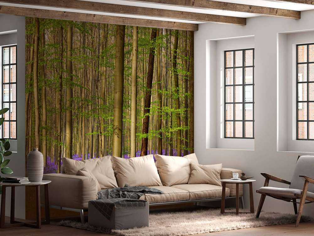 Bos met boshyacinten