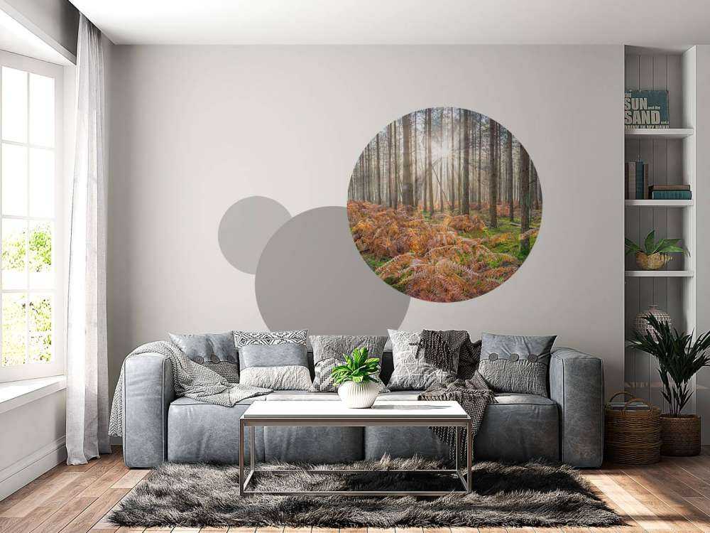 Bos tijdens de zonsopkomst