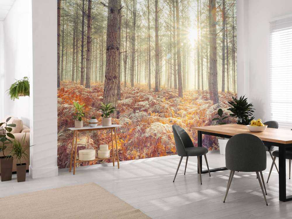 Zonnestralen door de koude bomen