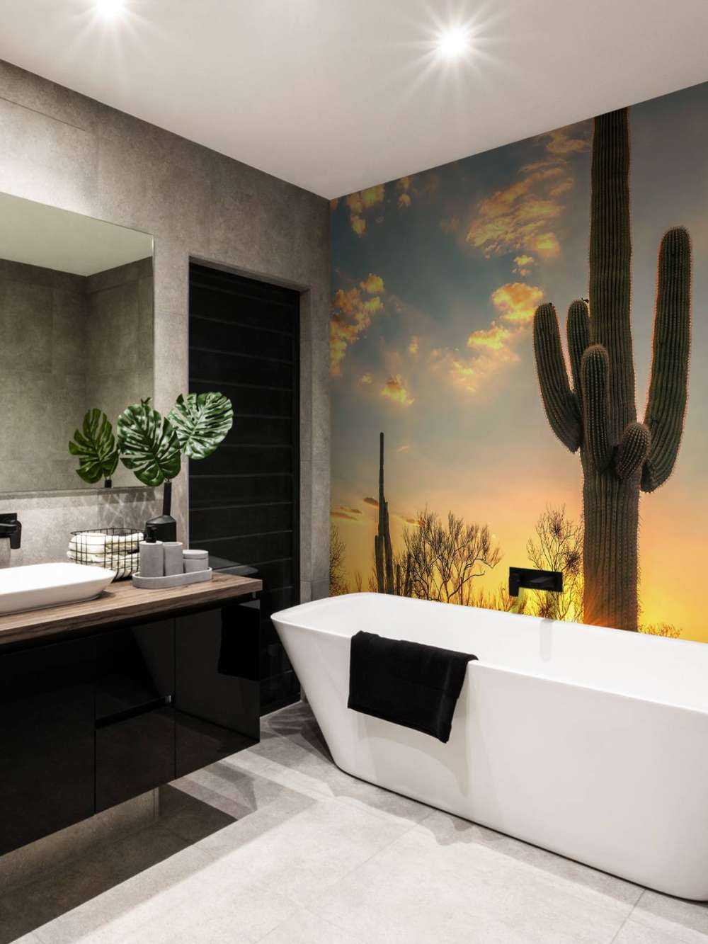 Cactus met zonsondergang