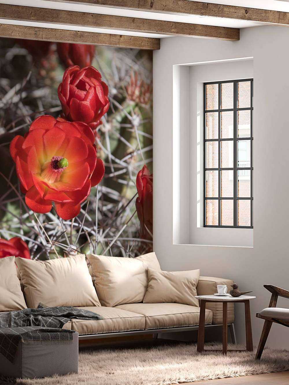 Rode cactus bloemen