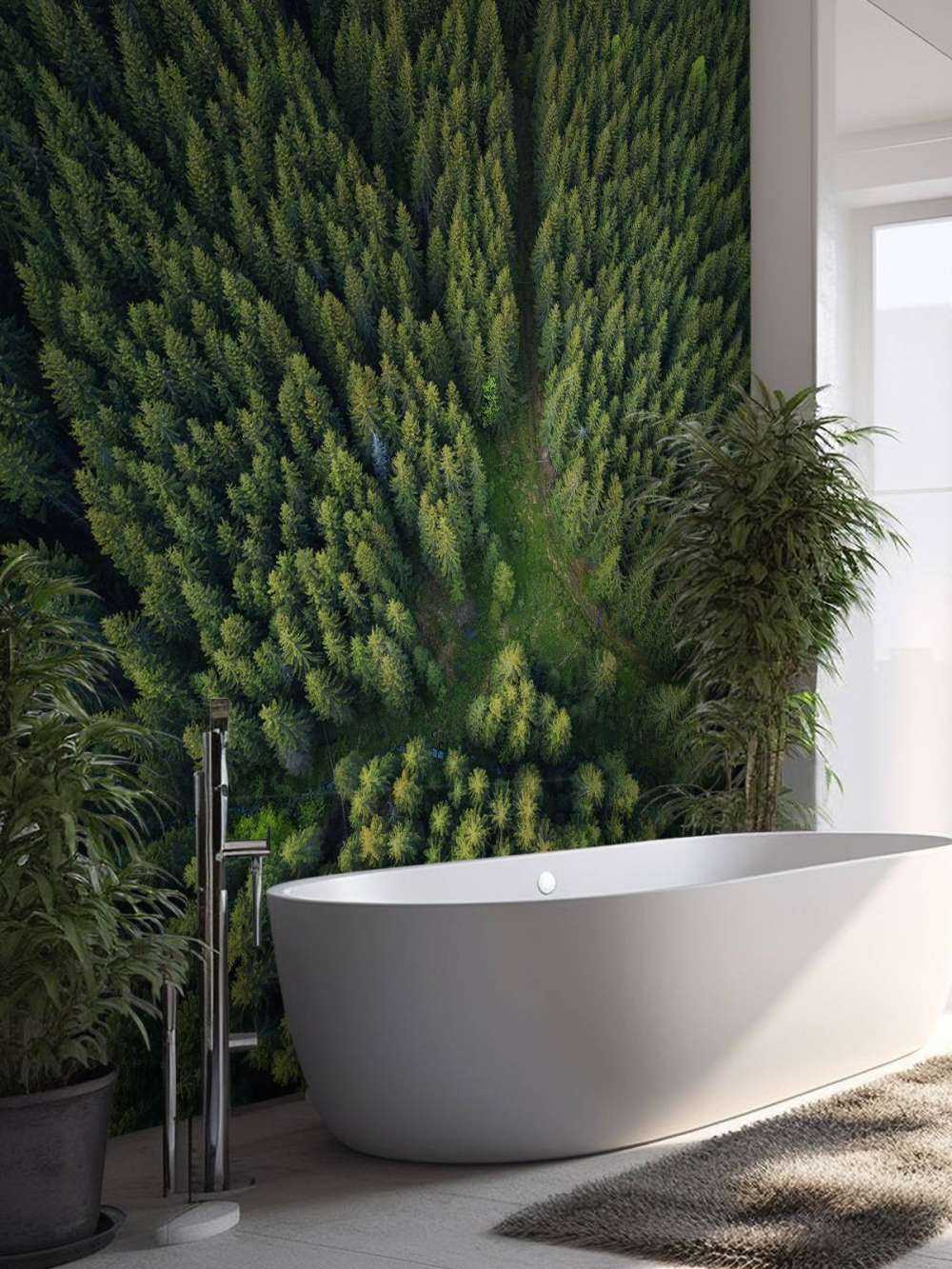 Dennenbos van bovenaf