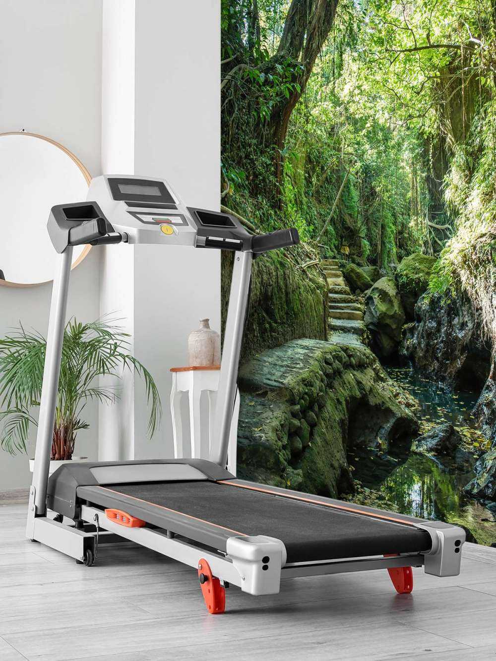 Pad door de jungle