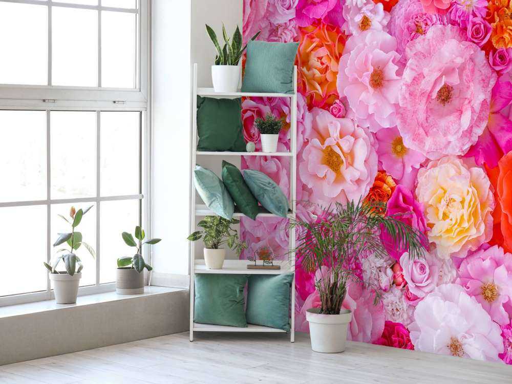 Full frame of variety of garden roses, flower background