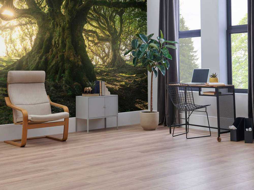 Betoverd Woud in Zonlicht