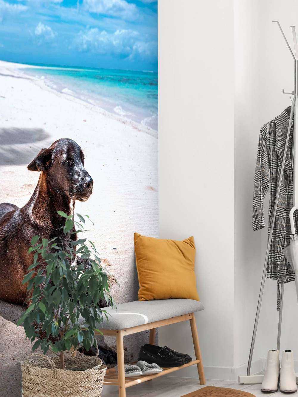 Zwarte hond aan tropisch strand