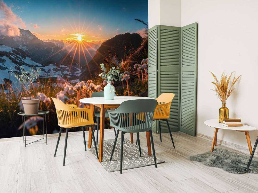 Zonlicht over alpenweide