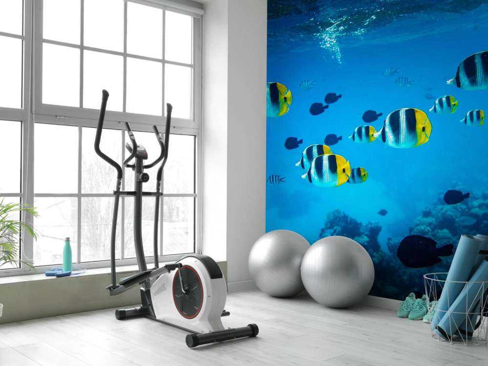 Tropische rifvissen in helderblauw water