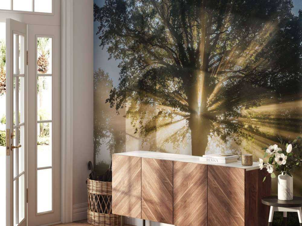 Zonnestralen door de Oude Eik