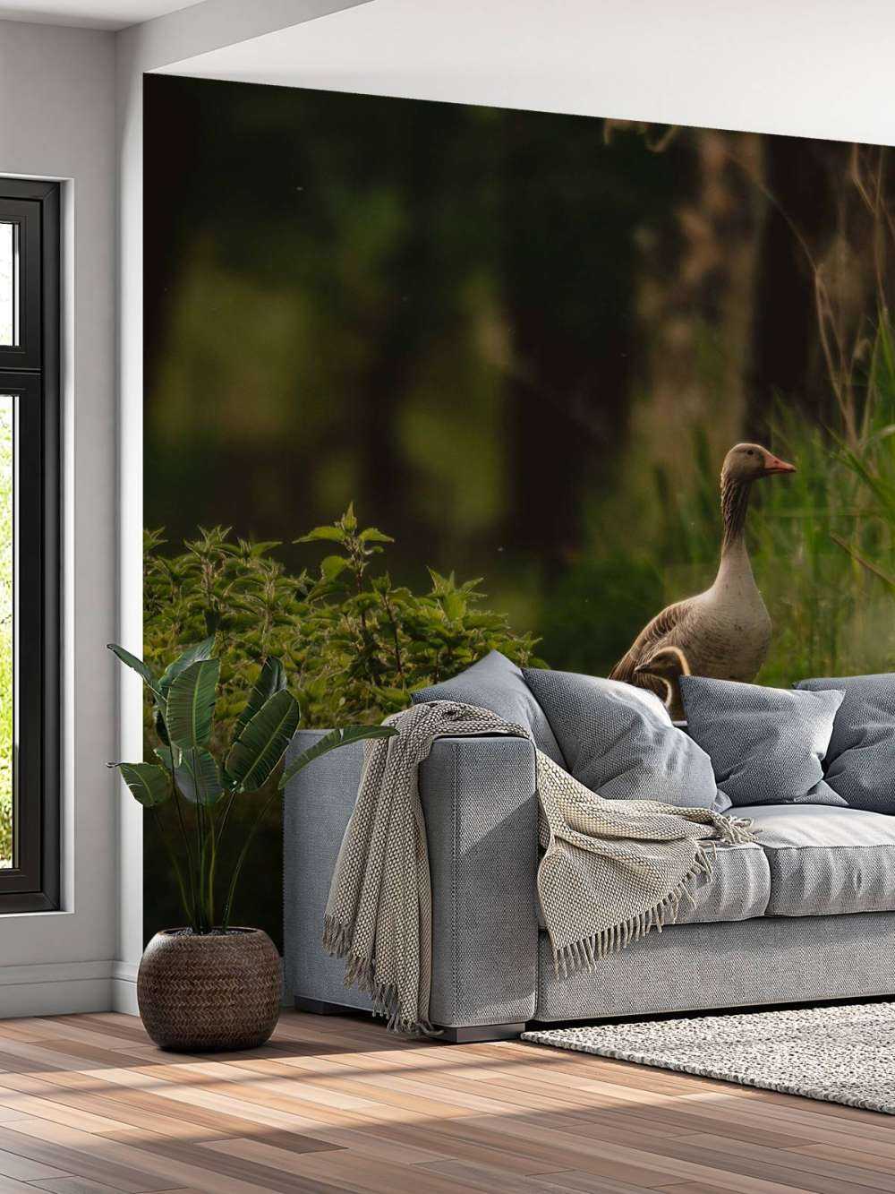 Ganzenfamilie in het Bos