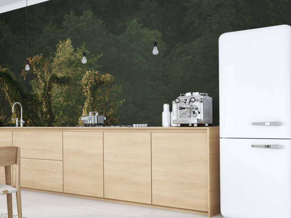 Paarden in het Betoverde Woud