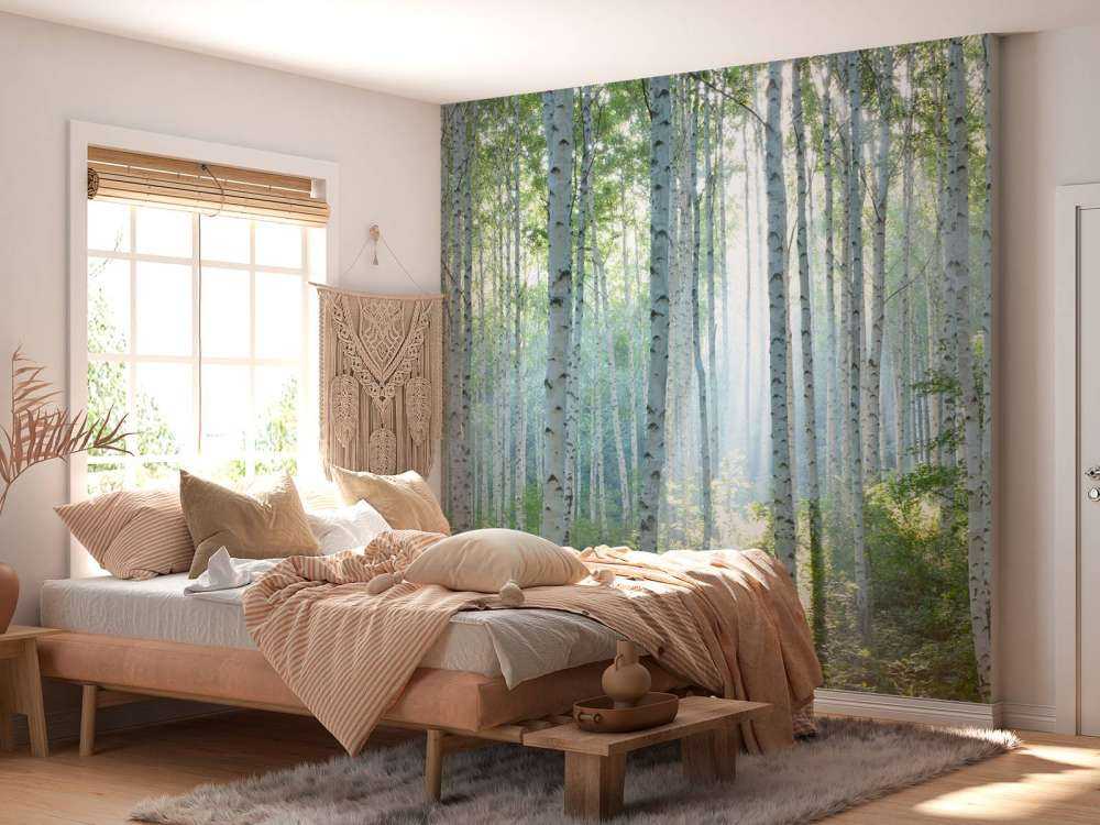 Berkenbos in ochtendlicht