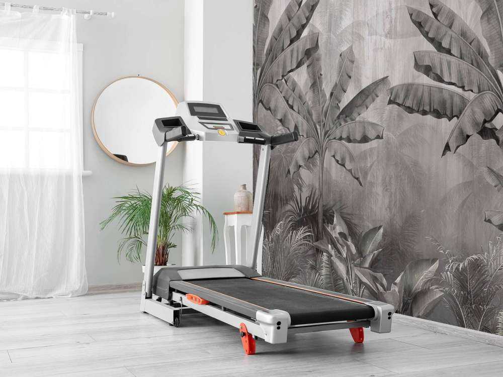 Tropische Nevelpalmen