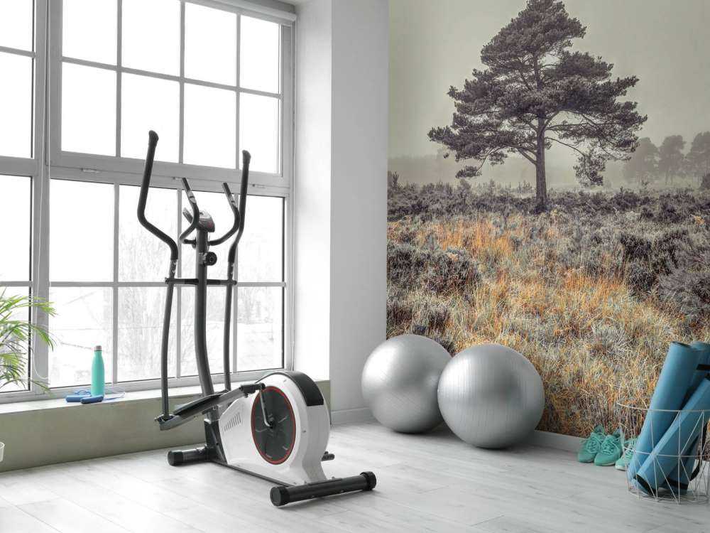 Boom op het platteland