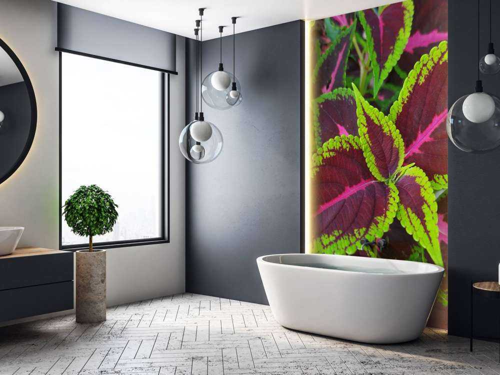 Close-up gekleurde plant