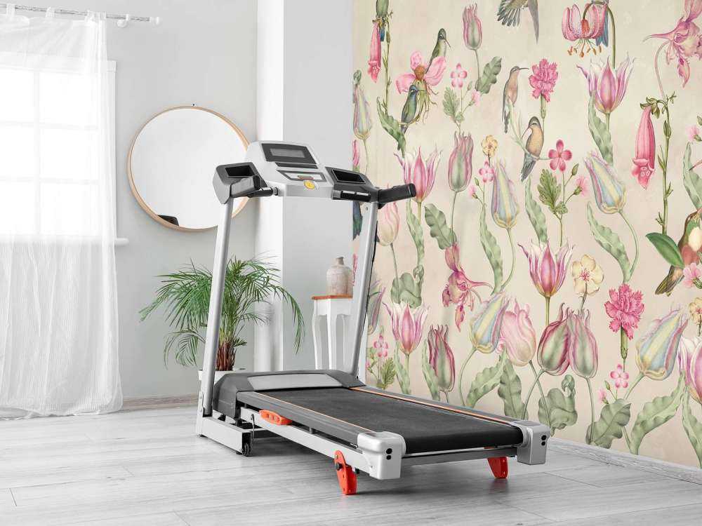 Hummingbird Tulip Symphony