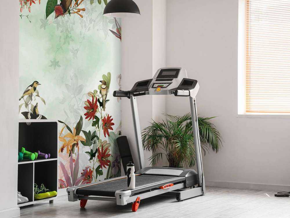 Brick Wall in Garden 3