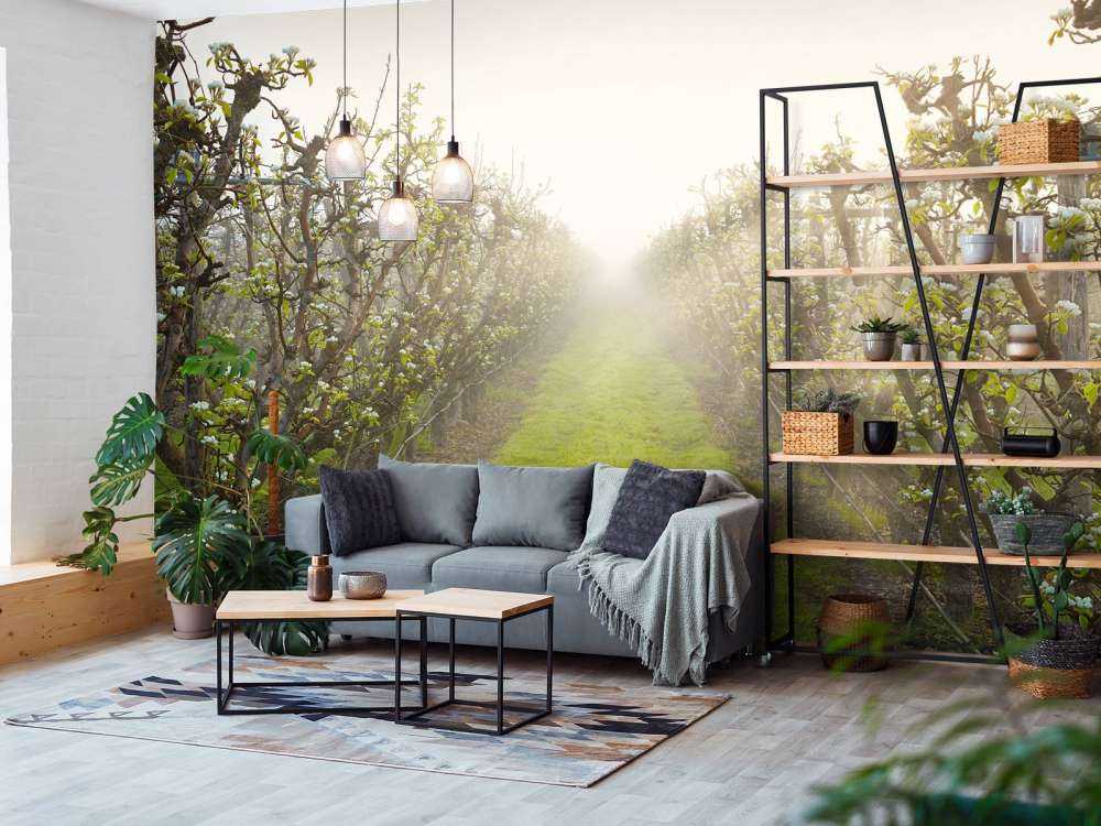 Perenbloesem in mist