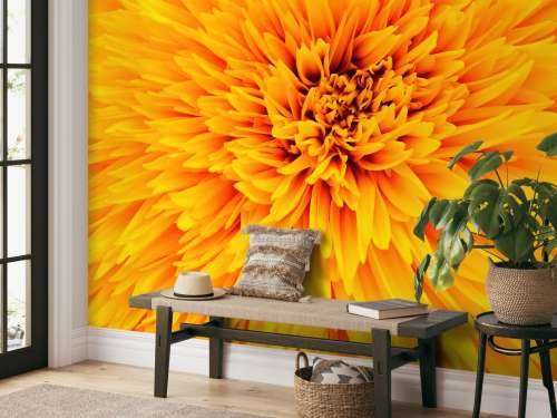 Gele bloem