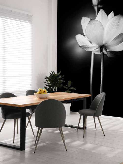Lotusbloemen zwart-wit