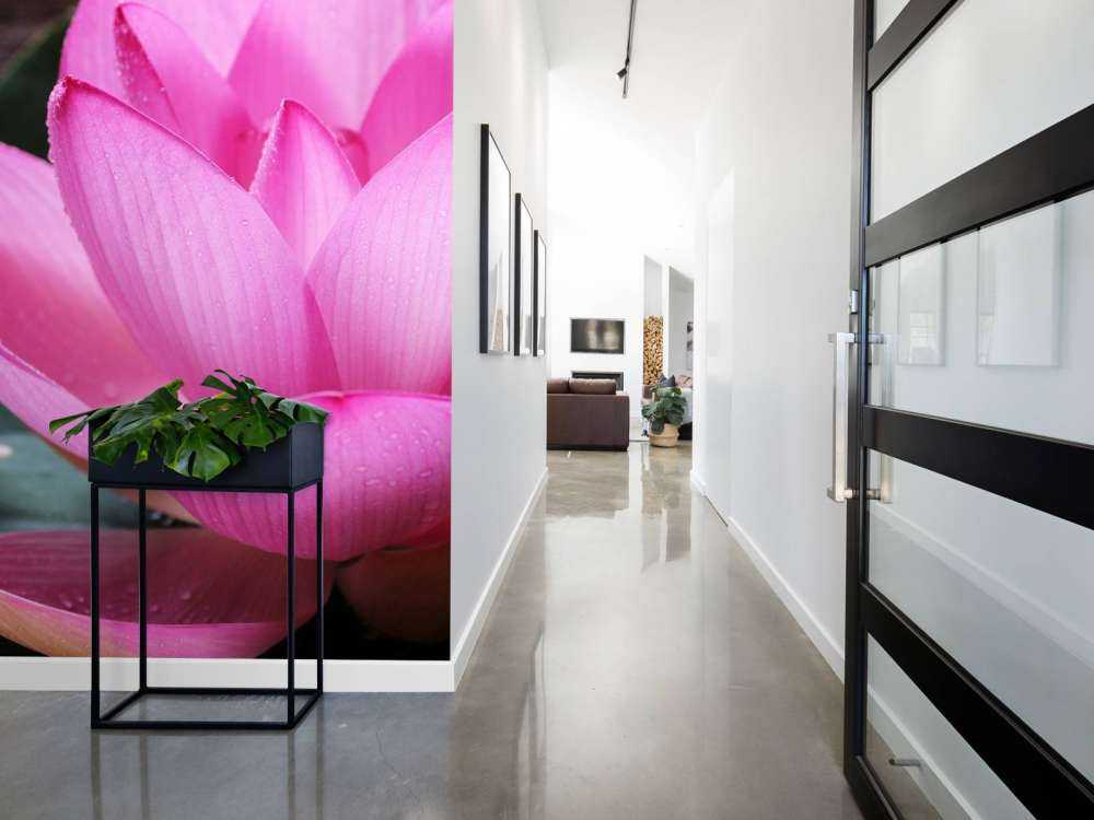 Close-up roze lotus