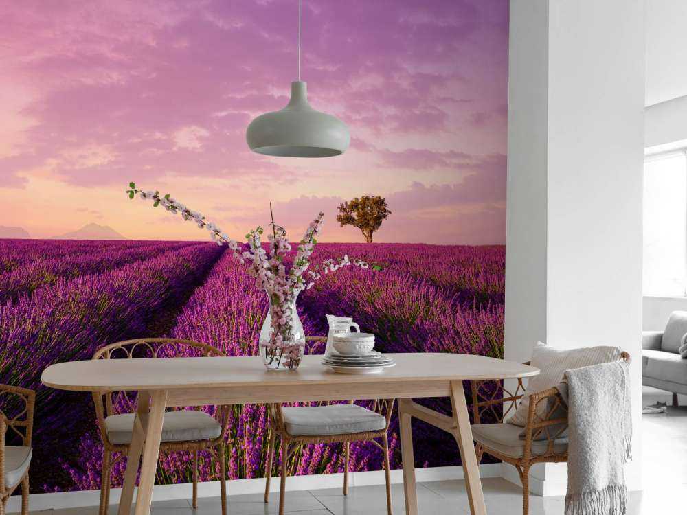 Lavendel veld en luchtballon
