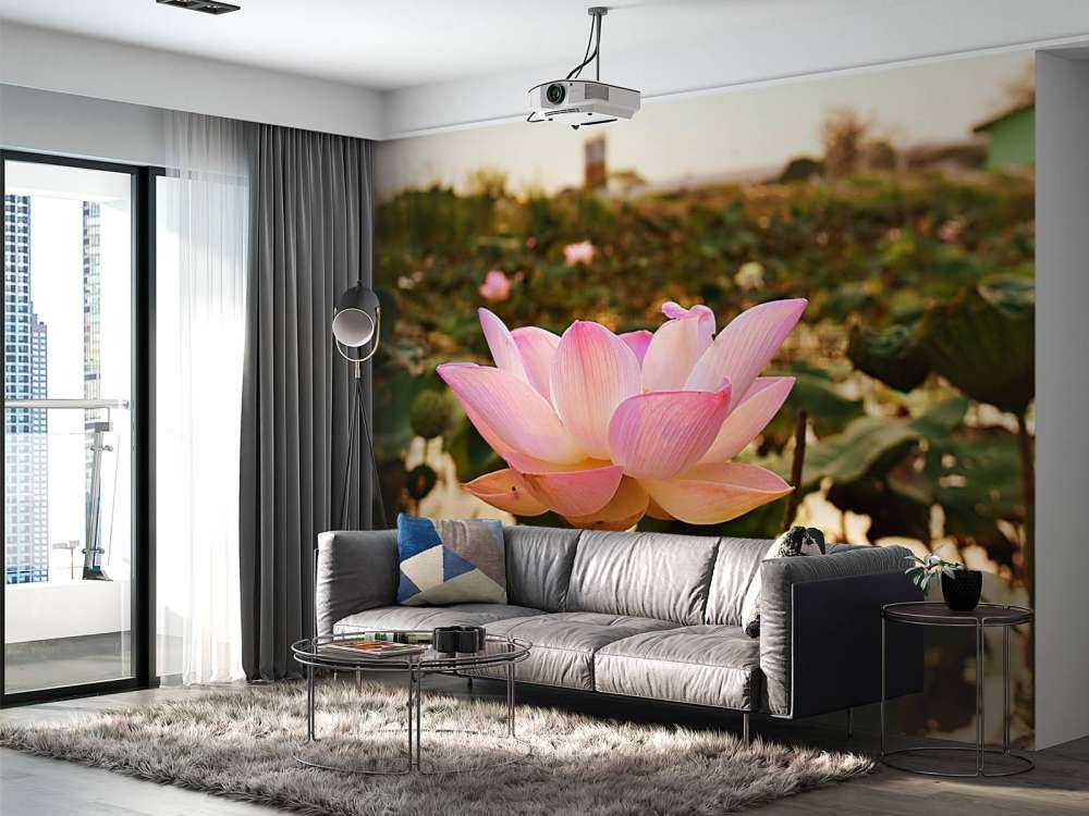 Roze lotusbloem