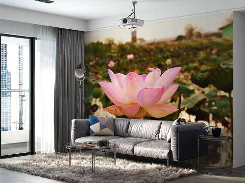 Roze lotusbloem