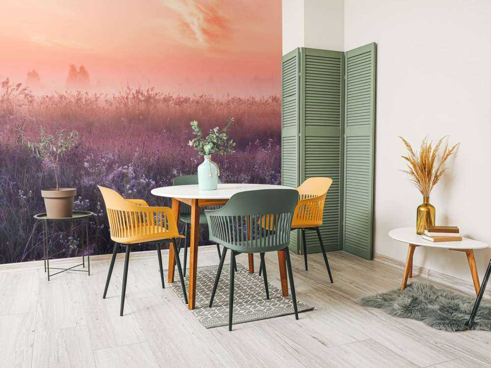 Veld met ochtendnevel