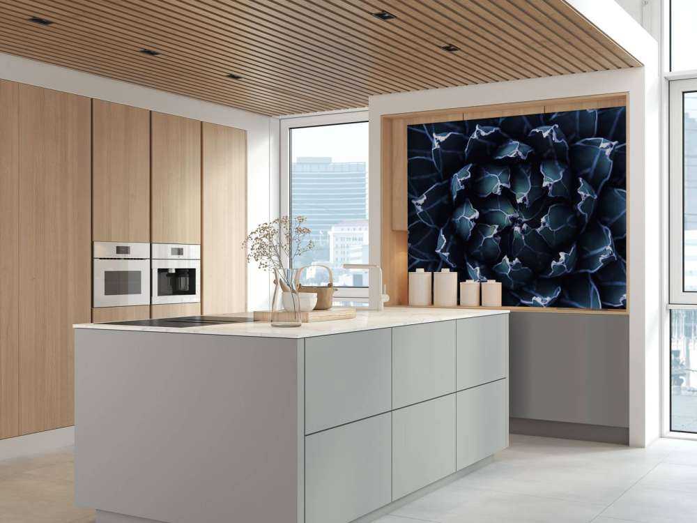 Donkerblauwe vetplant