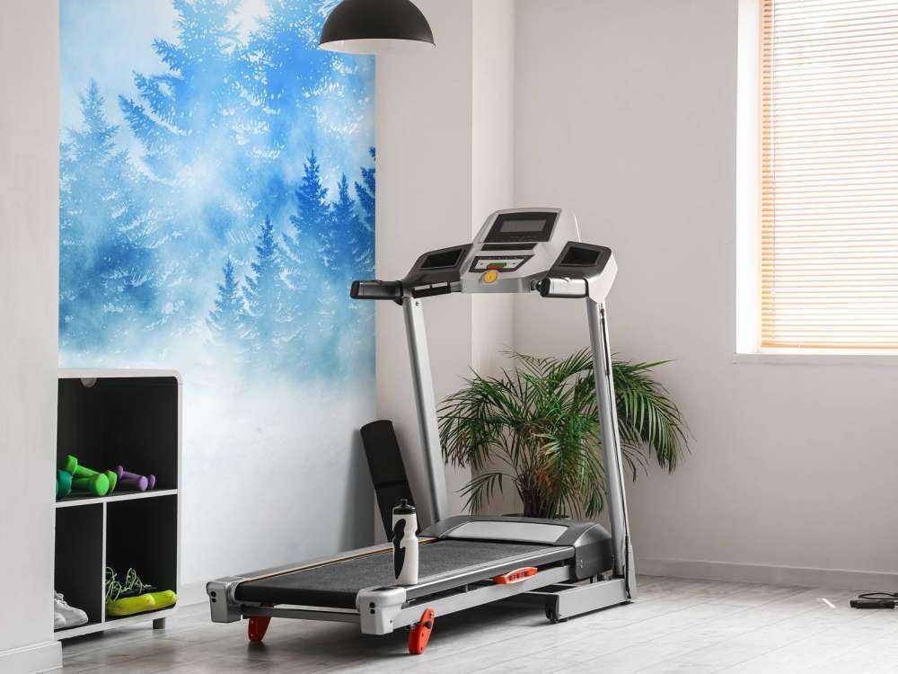 Donker bos met sneeuw