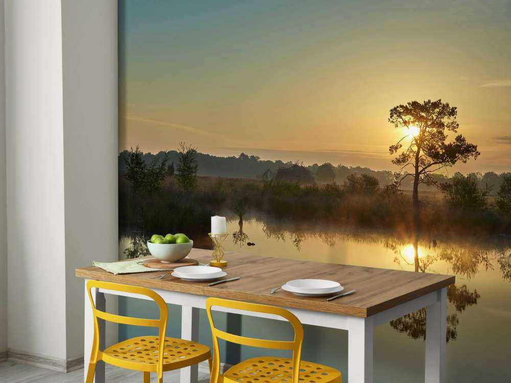 Zonsopkomst bij bosven